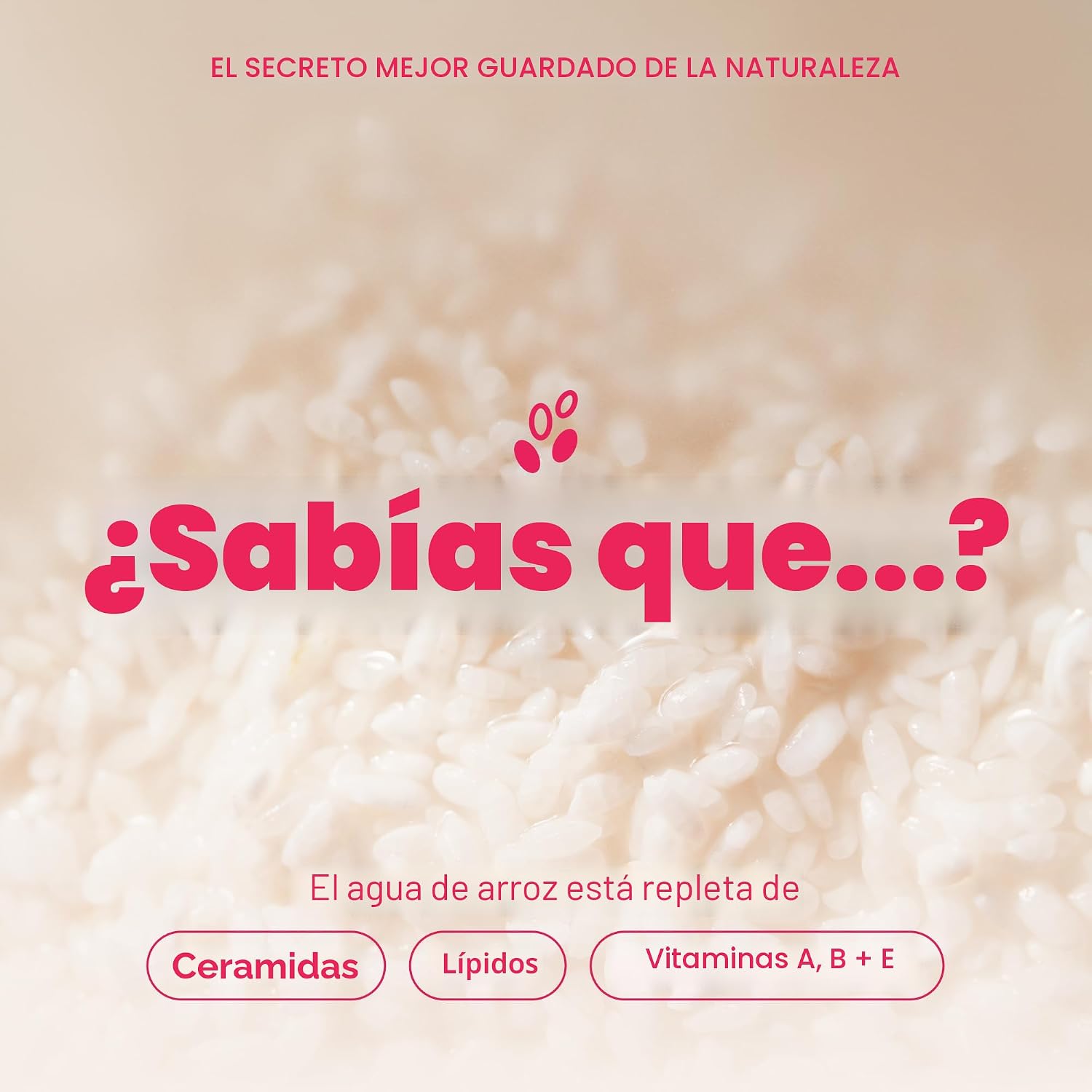 the face shop rice water foam the face shop rice water foam
