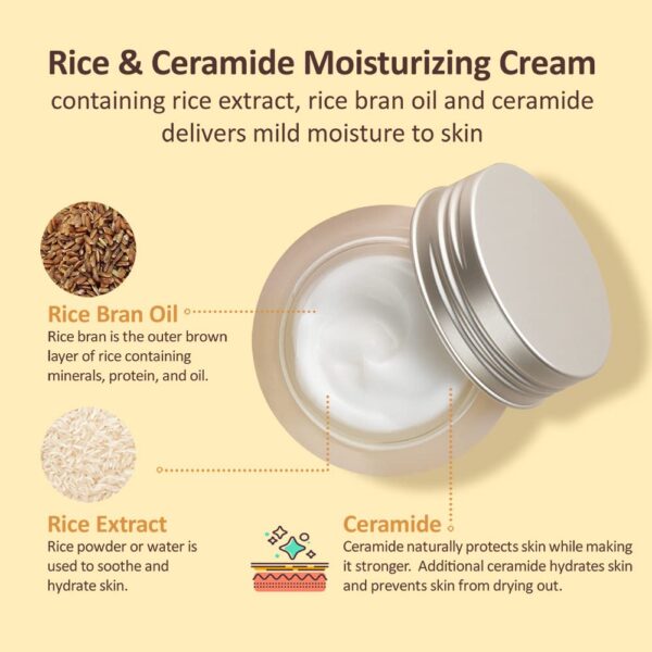 The Face Shop Crema Hidratante de Ceramida de Arroz - Imagen 4